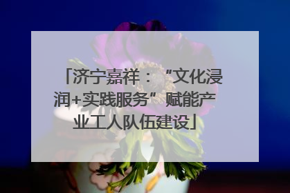济宁嘉祥：“文化浸润+实践服务”赋能产业工人队伍建设