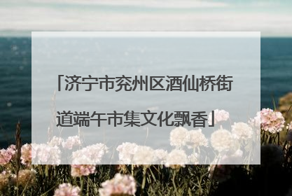 济宁市兖州区酒仙桥街道端午市集文化飘香