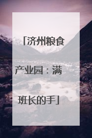 济州粮食产业园：满班长的手