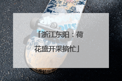 浙江东阳：荷花盛开采摘忙