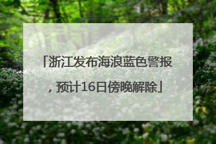 浙江发布海浪蓝色警报，预计16日傍晚解除