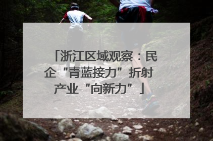 浙江区域观察：民企“青蓝接力”折射产业“向新力”
