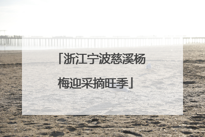 浙江宁波慈溪杨梅迎采摘旺季