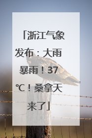 浙江气象发布：大雨暴雨！37℃！桑拿天来了