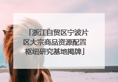 浙江自贸区宁波片区大宗商品资源配置枢纽研究基地揭牌