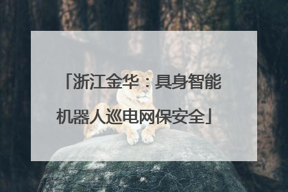 浙江金华：具身智能机器人巡电网保安全