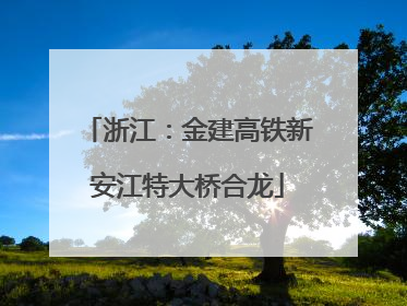 浙江：金建高铁新安江特大桥合龙