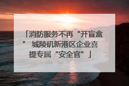 消防服务不再“开盲盒” 城陵矶新港区企业喜提专属“安全官”