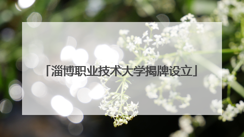 淄博职业技术大学揭牌设立