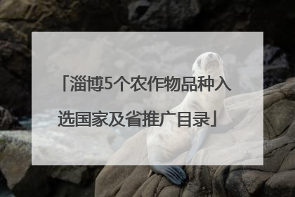 淄博5个农作物品种入选国家及省推广目录