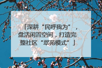 深耕“民呼我为”，盘活闲置空间，打造完整社区“翠苑模式”
