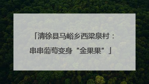 清徐县马峪乡西梁泉村：串串葡萄变身“金果果”