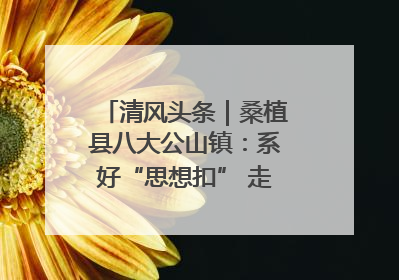 清风头条｜桑植县八大公山镇：系好“思想扣” 走稳“青廉路”