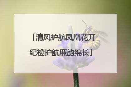 清风护航凤凰花开 纪检护航廉韵绵长