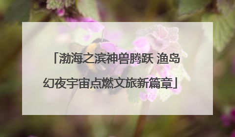 渤海之滨神兽腾跃 渔岛幻夜宇宙点燃文旅新篇章