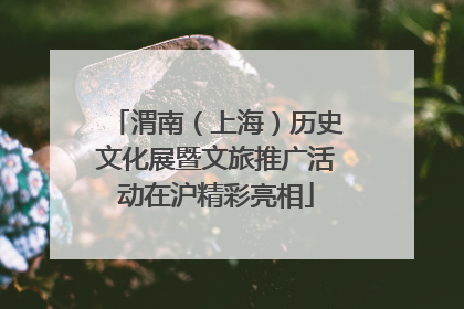 渭南（上海）历史文化展暨文旅推广活动在沪精彩亮相
