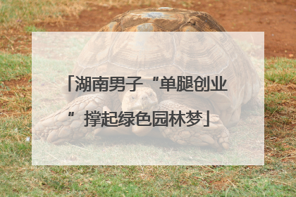 湖南男子“单腿创业”撑起绿色园林梦