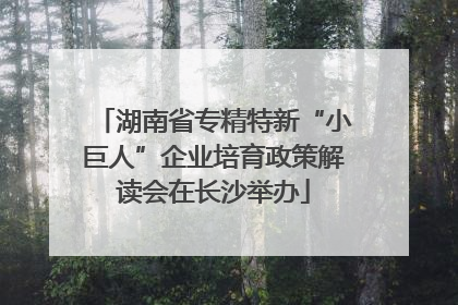 湖南省专精特新“小巨人”企业培育政策解读会在长沙举办