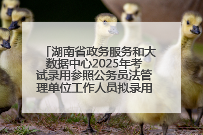 湖南省政务服务和大数据中心2025年考试录用参照公务员法管理单位工作人员拟录用人员名单公示