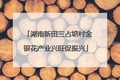 湖南新田三占塘村金银花产业兴旺促振兴