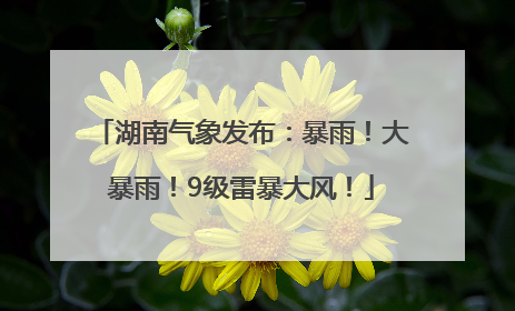 湖南气象发布：暴雨！大暴雨！9级雷暴大风！