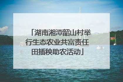 湖南湘潭韶山村举行生态农业共富责任田插秧助农活动
