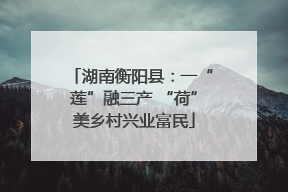 湖南衡阳县：一“莲”融三产 “荷”美乡村兴业富民