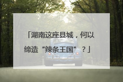 湖南这座县城，何以缔造“辣条王国”？
