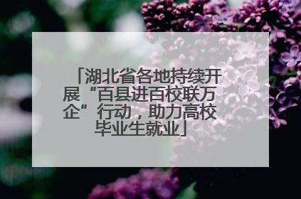 湖北省各地持续开展“百县进百校联万企”行动，助力高校毕业生就业