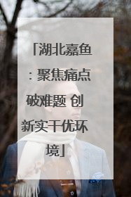 湖北嘉鱼：聚焦痛点破难题 创新实干优环境