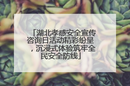 湖北孝感安全宣传咨询日活动精彩纷呈，沉浸式体验筑牢全民安全防线