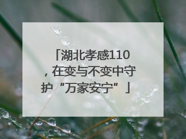 湖北孝感110，在变与不变中守护“万家安宁”