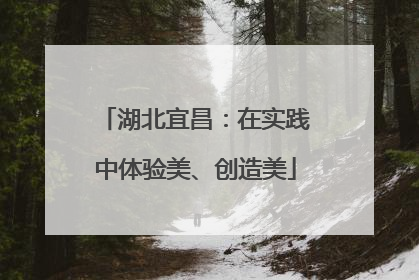 湖北宜昌：在实践中体验美、创造美
