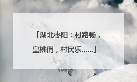 湖北枣阳：村路畅，皇桃俏，村民乐……