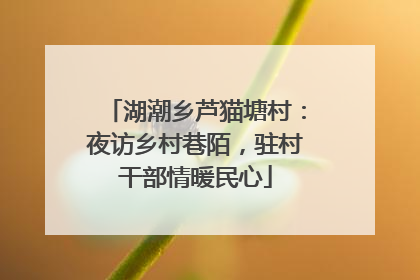 湖潮乡芦猫塘村：夜访乡村巷陌，驻村干部情暖民心