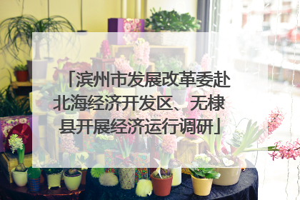 滨州市发展改革委赴北海经济开发区、无棣县开展经济运行调研