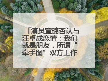 演员宣璐否认与汪卓成恋情：我们就是朋友，所谓“牵手图”双方工作人员均在场