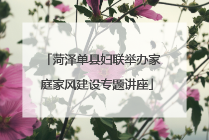 菏泽单县妇联举办家庭家风建设专题讲座