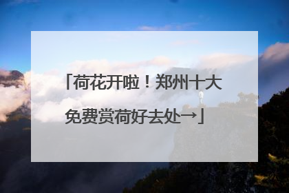 荷花开啦！郑州十大免费赏荷好去处→