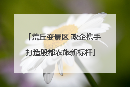 荒丘变景区 政企携手打造殷都农旅新标杆