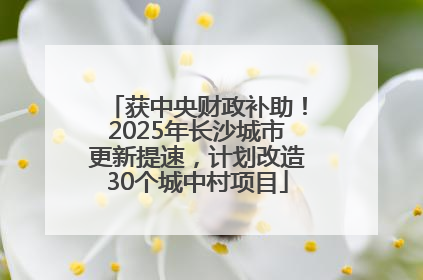 获中央财政补助！2025年长沙城市更新提速，计划改造30个城中村项目