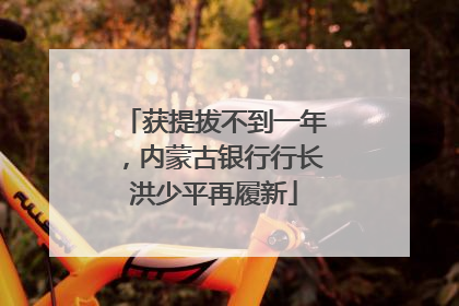 获提拔不到一年，内蒙古银行行长洪少平再履新