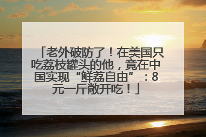 老外破防了！在美国只吃荔枝罐头的他，竟在中国实现“鲜荔自由”：8元一斤敞开吃！