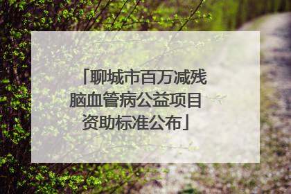 聊城市百万减残脑血管病公益项目资助标准公布