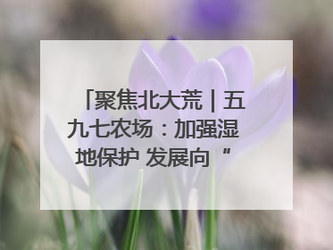 聚焦北大荒｜五九七农场：加强湿地保护 发展向“绿”而行