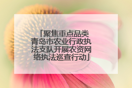 聚焦重点品类 青岛市农业行政执法支队开展农资网络执法巡查行动