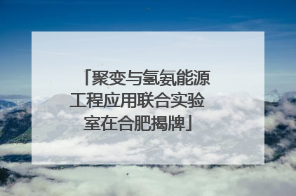 聚变与氢氨能源工程应用联合实验室在合肥揭牌