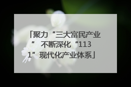 聚力“三大富民产业” 不断深化“1131”现代化产业体系