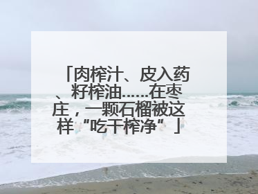 肉榨汁、皮入药、籽榨油……在枣庄，一颗石榴被这样“吃干榨净”