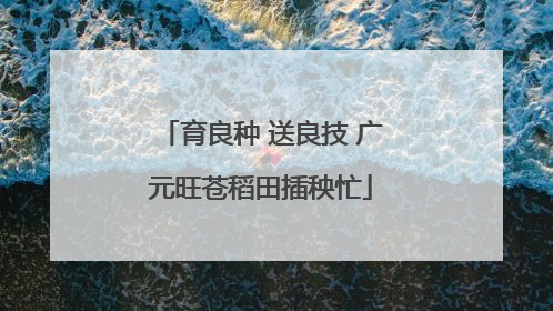 育良种 送良技 广元旺苍稻田插秧忙